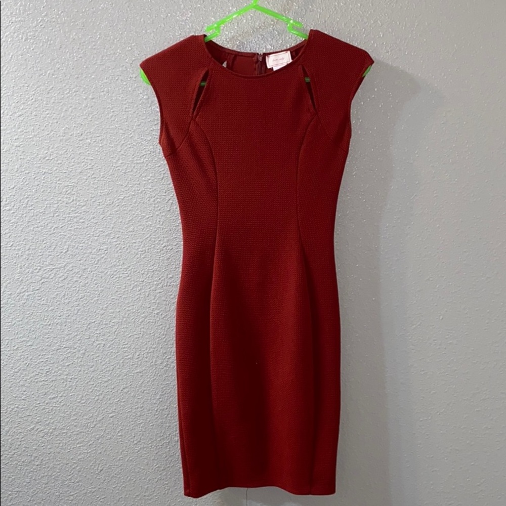 Fitted Burgundy Dress (Nordstrom)